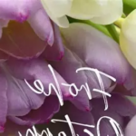 Frohe Ostern: 7 wunderschöne Traditionen und die wahre Bedeutung dieses fröhlichen Festes